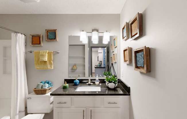 a bathroom with a sink and a mirror and a shower