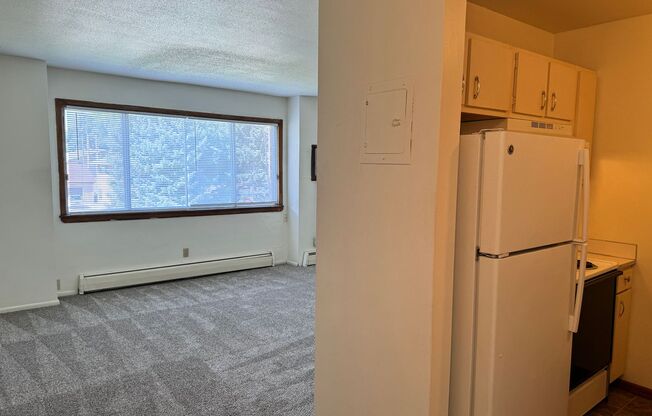 1 bed, 1 bath, 465 sqft, $600, Unit 1116-310