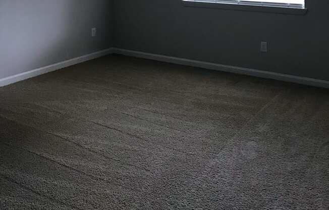 bedroom with large window and plush carpeting