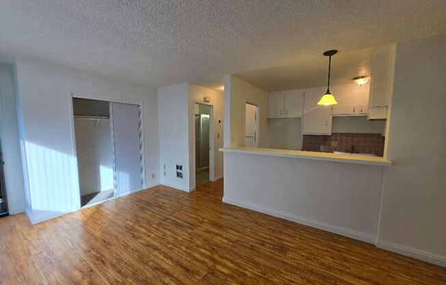 Studio, 1 bath, 470 sqft, $1,695, Unit 1