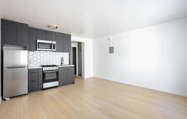 Studio, 1 bath, 263 sqft, $1,449, Unit 204