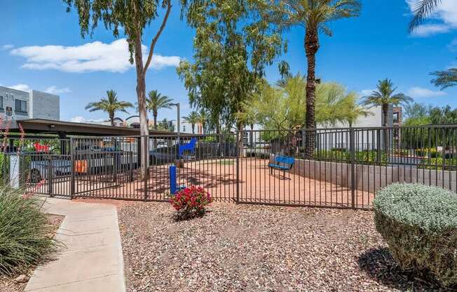 Community Dog Park with Agility Equipment at Harmony at Surprise Apartments in Surprise, AZ.