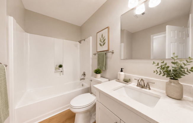 1 bed, 1 bath, 737 sqft, $939