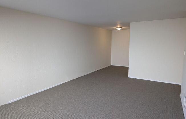 4220 Cesar Chavez Street (307r)