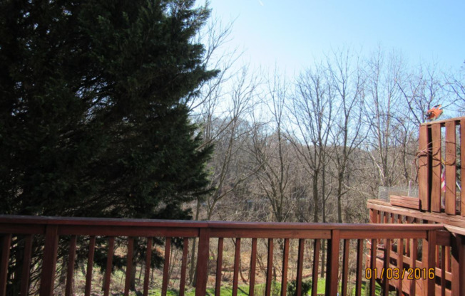 3813 BONNYBRIDGE PL
