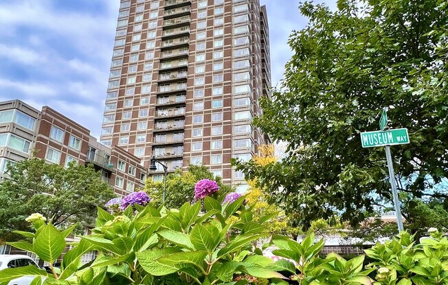 1 bed, 1 bath, 663 sqft, $3,500, Unit 1908