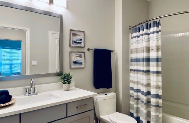 a bathroom with a toilet and a sink and a mirror at Mainstreet Apartments, Clearwater