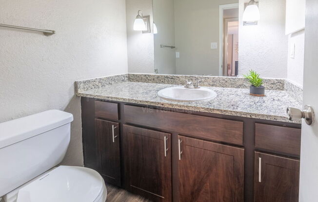 Studio, 1 bath, 402 sqft, $750, Unit 1701