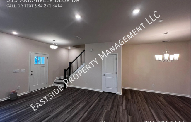 315 ANNABELLE BLUE DR