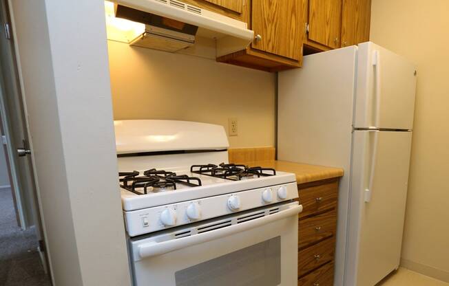 Efficient Appliances In Kitchen at Willowood Apartments, Ohio