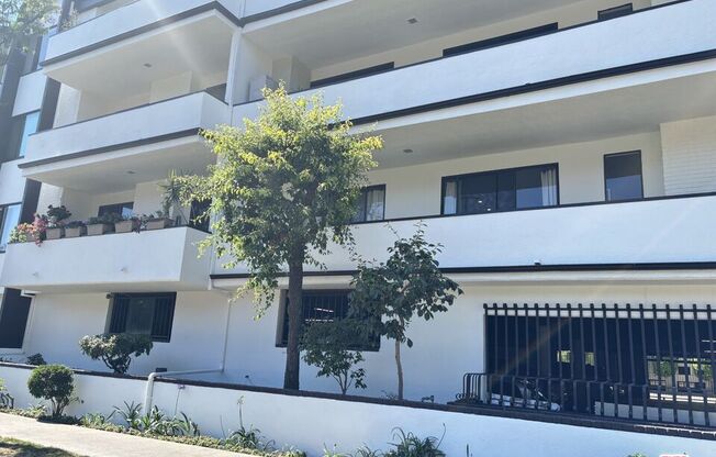 8568 Burton Way Apt 103