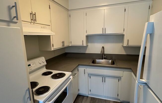 1 bed, 1 bath, 700 sqft, $2,095, Unit 1