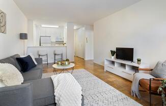 1 bed, 1 bath, $4,295, Unit 10E