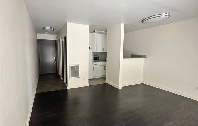 Studio, 1 bath, 250 sqft, $2,095, Unit 111
