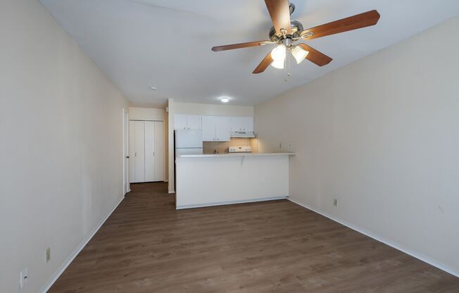 Studio, 1 bath, 445 sqft, $750, Unit 206