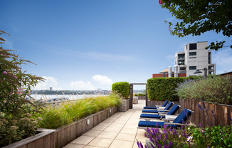 Partner-provided photo for $5450 unit