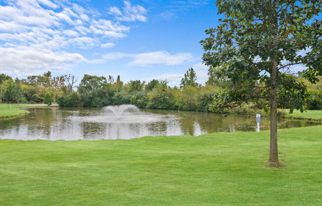 a pond with a fountain in it near a tree