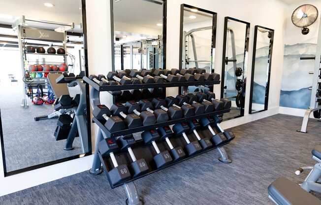 A gym with a mirror, weights, and exercise equipment.