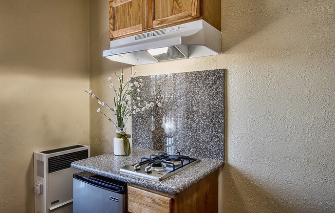 Studio, 1 bath, 164 sqft, $1,095.42, Unit 302