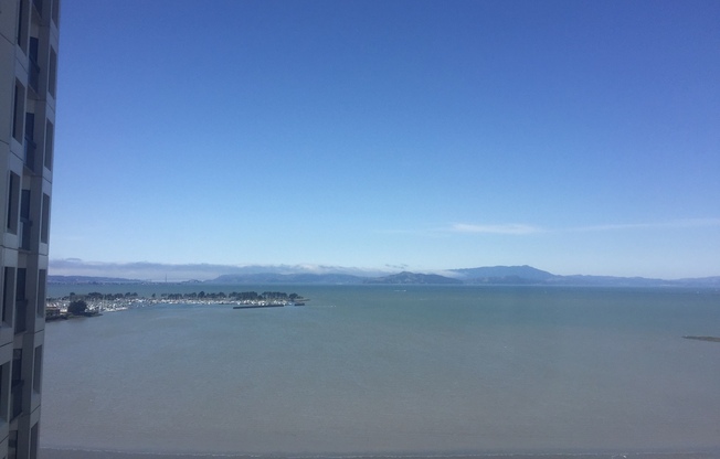 1 bed, 1 bath, $2,250, Unit # 1611