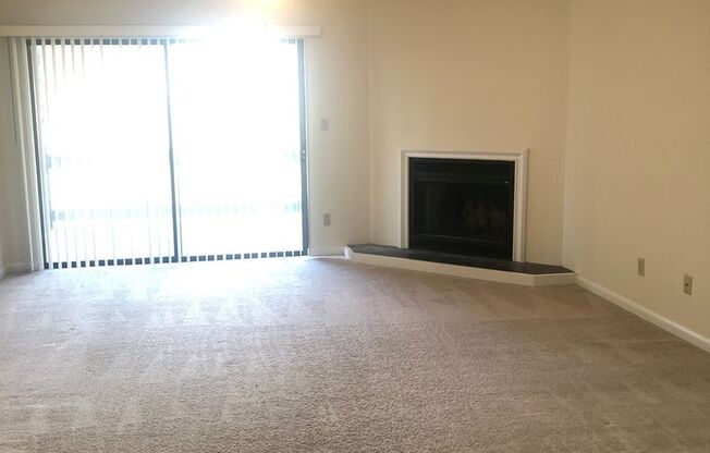 1 Bedroom Condo in Lake Vista