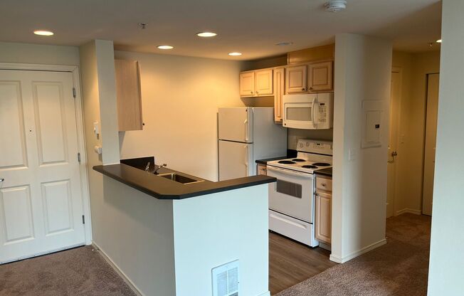 1 bed, 1 bath, 625 sqft, $1,695, Unit 515