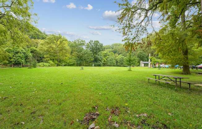 A grassy field with a picnic table and trees in the background.