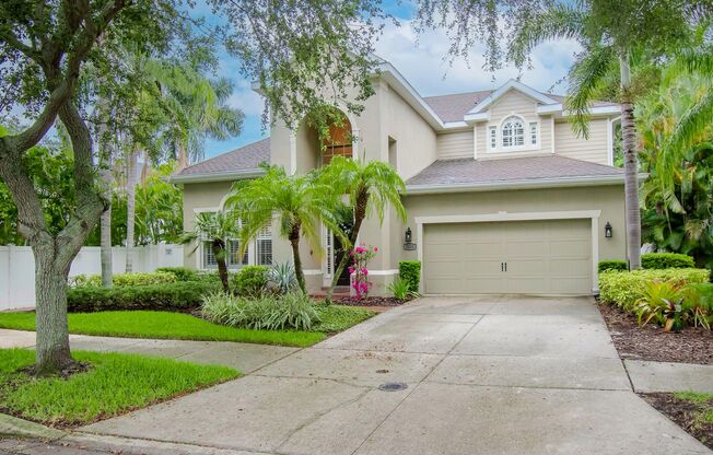 South Tampa Pool Home - 4 Bedrooms - 3 Bathrooms