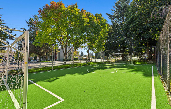 A soccer field with a goal post on the left side.