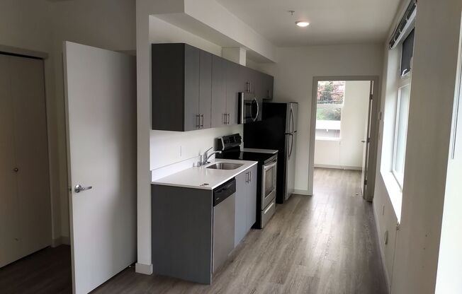 1 bed, 1 bath, 510 sqft, $1,750, Unit 217
