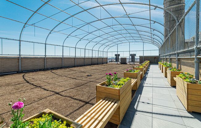 Studio, 1 bath, 388 sqft, $1,241, Unit 100