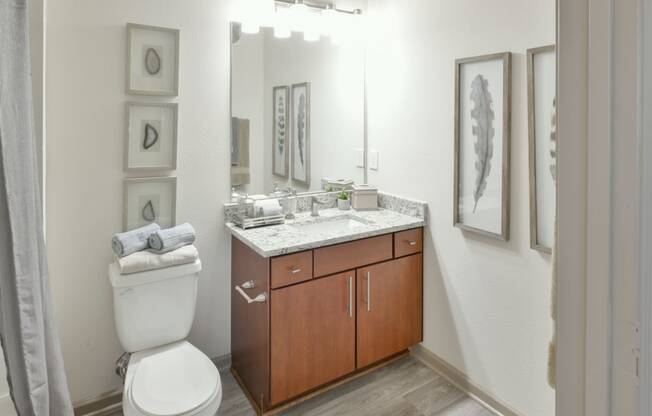 Bathroom Vanity and Toilet at Walden Oaks, Anderson, SC
