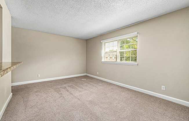 a bedroom with carpet and a window