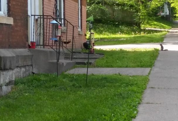 2br westside saint paul