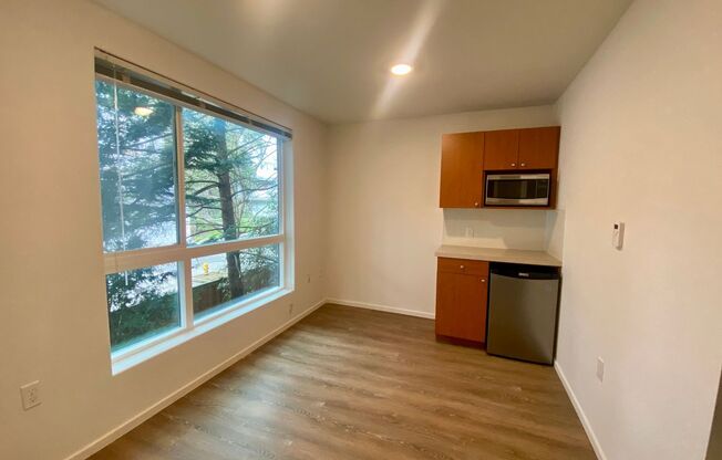 Studio, 1 bath, 189 sqft, $1,325, Unit 4206