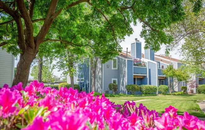 Courtyard With Green Space at Chesapeake Commons Apartments, Rancho Cordova, CA, 95670