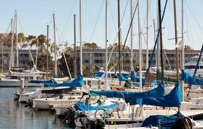 a group of boats docked in a marina