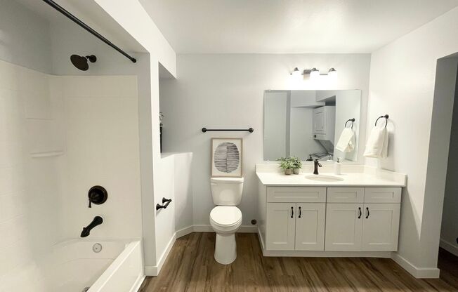 Studio, 1 bath, 575 sqft, $1,345, Unit Hamrick B03