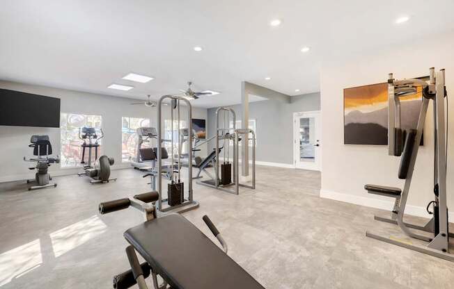 Whether you're lifting weights, participating in group classes, or enjoying cardio sessions, our revitalized space inspires you to achieve your health goals in style.