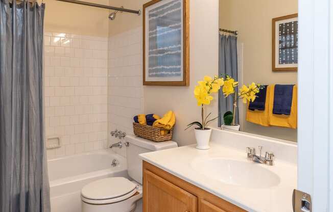 Bathroom with brown cabinets at McDonogh Village Apartments & Townhomes, Randallstown, 21133