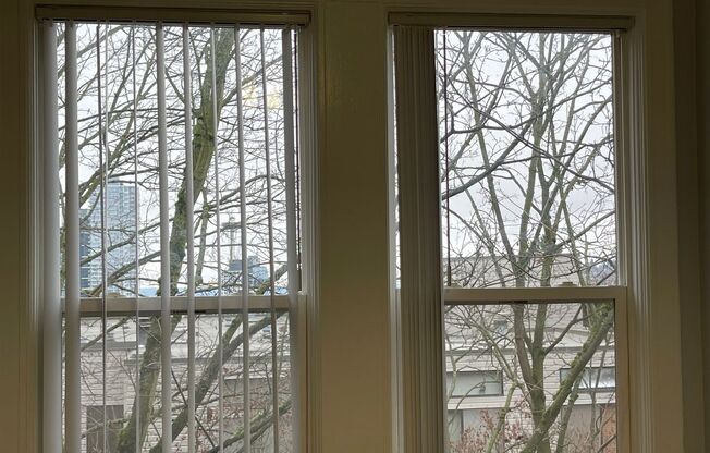 Studio, 1 bath, 300 sqft, $1,230, Unit 308