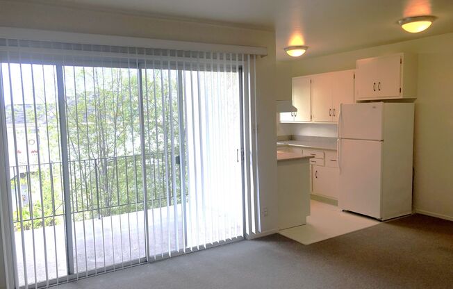 COMING SOON-1 bedroom, 1 bathroom apartment in a quiet lovely South Berkeley. Less than a mile from UC Berkeley