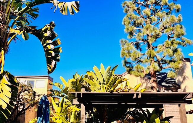 1 bed, 1 bath, $2,150, Unit E3