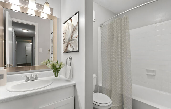 White Bathroom at Lakes Edge Apartments, Greensboro, North Carolina