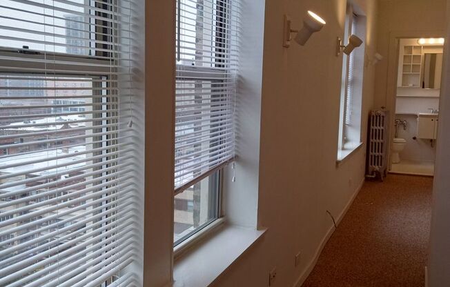 Studio, 1 bath, 233 sqft, $1,400, Unit 806