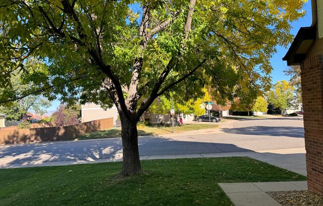 Spacious, Highlands Ranch Home Featuring 4 Upper Level Bedrooms, including Large, Basement Bedroom Suite!  Douglas County Schools!  Mins to SH 470 and Highlands Ranch Parkway!