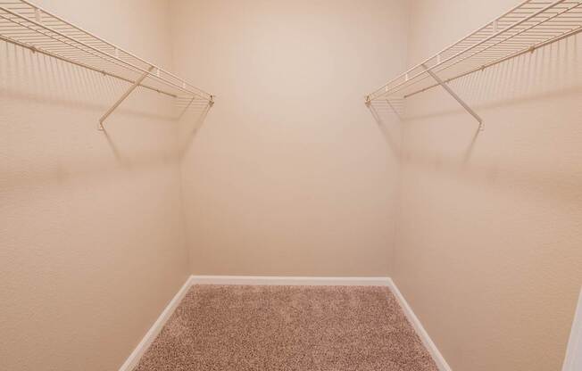 a spacious closet in a bedroom with a carpeted floor and a hanging rack