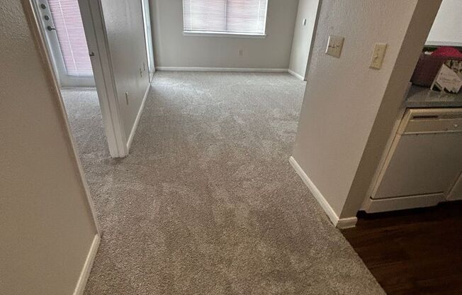 1 bed, 1 bath, 616 sqft, $903