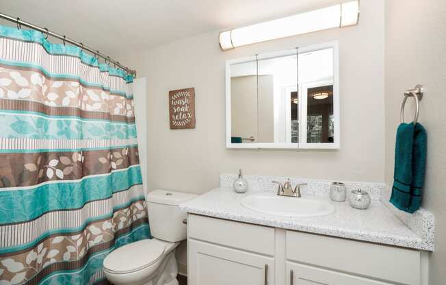 a bathroom with a white sink and toilet next to a shower with a blue and brown shower