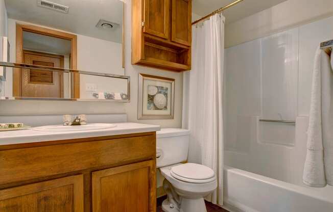 Windtree Apartments Bathroom Apartments in Colorado Springs, CO